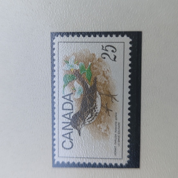 Hermit Thrush Home Design Stamp Set - Picture 3 of 4